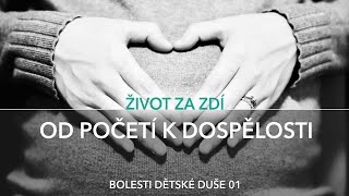 BOLESTI DĚTSKÉ DUŠE 1: OD POČETÍ K DOSPĚLOSTI