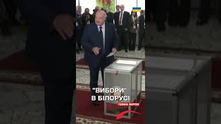 Вибори без вибору в Білорусі. Лукашенко знову переміг, а його пес надзюрив на дільниці