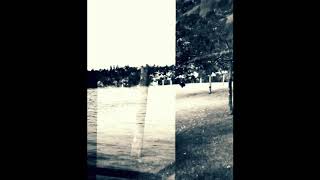 Pîrvu - Damage