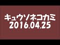 2016 04 25 キュウソネコカミ キンプレ