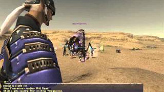 FFXI - DIUS - King Vinegarroon (2006)