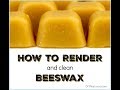 How to render BeesWax