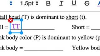 Punnett Square Practice-Example #3