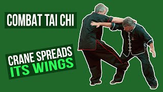 Combat Tai Chi - Crane Spreads Its Wings