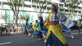 なるたか・元氣祭り表参道アヴェニュー・2017年8月27日。