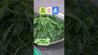 中国乡村的几种野菜，看起来很普通，吃起来很美味！ 你有吃过吗