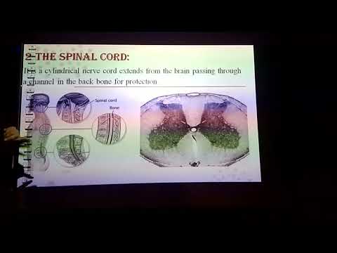 Grade 6 Unit 4 Lesson 1 Part 2 Youtube