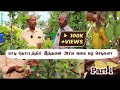 Special Tour to Our 80-year-old Bio-Chemist Terrace Garden | Tasted the Exotic Fruits Freshly - Pt1