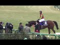 2014 有馬記念 arima grand prix ジェンティルドンナ gentildonna