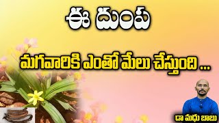 ఈ దుంప మగవారికి ఎంతో మేలు చేస్తుంది ... | Dr.Madhu Babu Health Trends