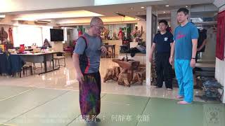 【八卦盤龍】【20191109(02)】抬腿再接力彈腿