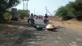 Horse Race Accident on a road Bijapur (Karnataka) 17 March 2019