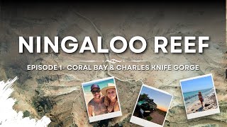 Ningaloo Reef- Episode 1: Coral Bay | Exmouth | Charles Knife Canyon