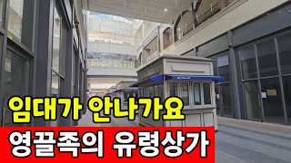 영끌족이 투자한 유령상가 ☆ 경매에 나와도 안팔린다