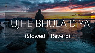 Tujhe Bhula Diya (slowed + reverb) | Anjaana Anjaani