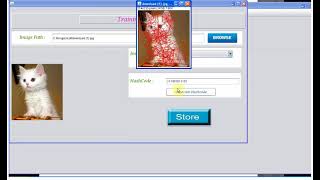Image Searching using Hashcode
