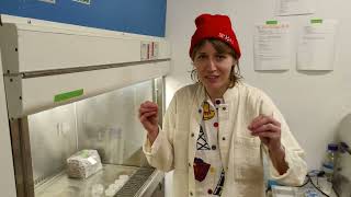 Tour of the MakeHaven Community Bio Lab