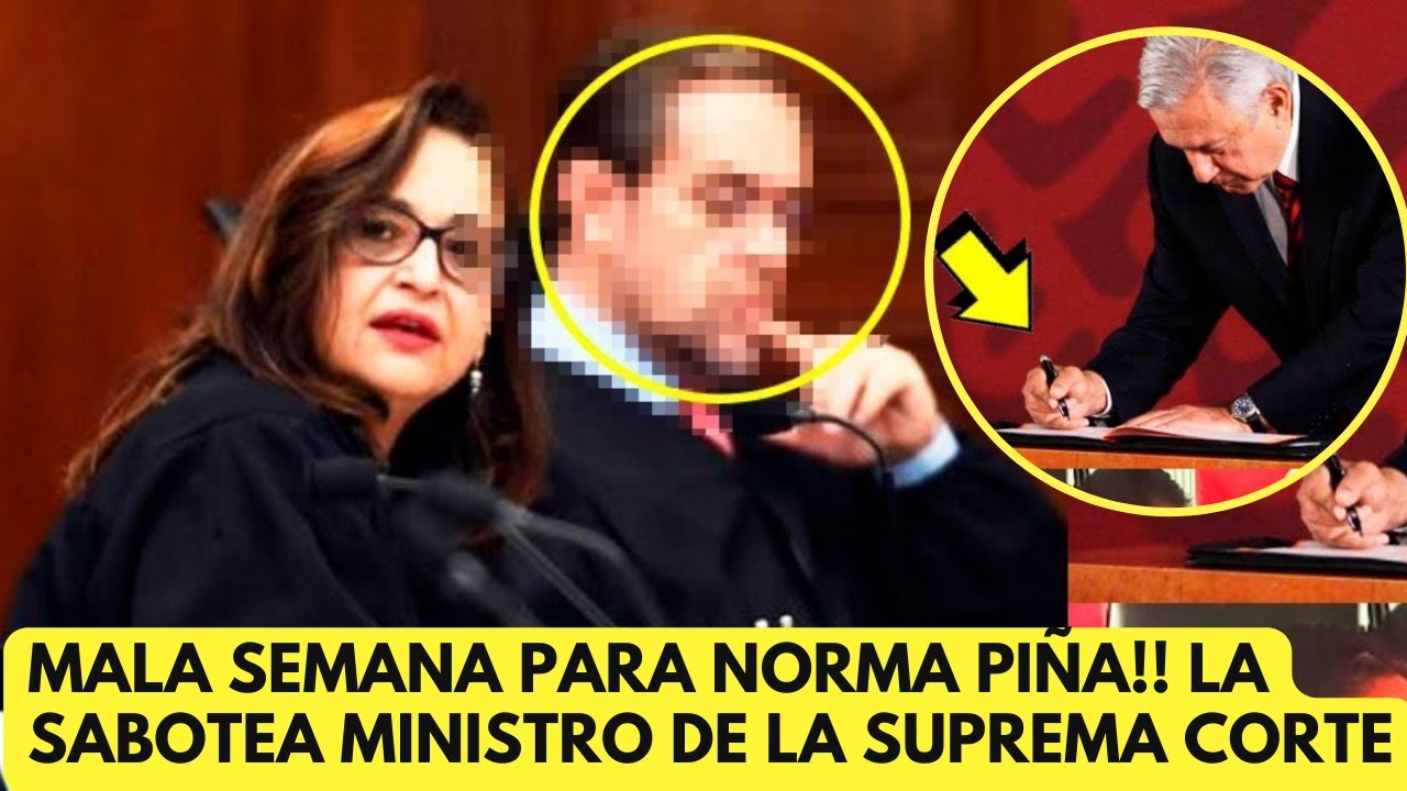 MALA SEMANA PARA NORMA PIÑA!! MINISTRO DE LA SUPREMA CORTE SE REVELA Y ...