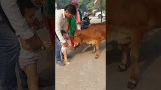 छोटी छोटी गैया छोटे छोटे ग्वाल छोटो सो मेरो मदन गोपाल | Choti Choti Gaiya | Cute Baby | Baby Girl