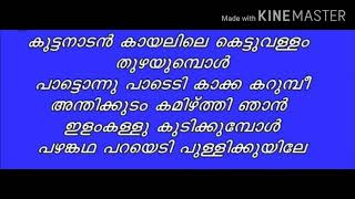 കുട്ടനാടൻ കായലിലെ കെട്ടുവള്ളം തുഴയുമ്പോൾ...