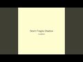 Storm Fragile Shadow