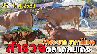 สำรวจราคาวัวงาม วัวเลี้ยง ตลาดสมเด็จ(27 ธ.ค. 63)จ.กาฬสินธุ์