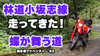 蝶が舞う道。林道小坂志線を走ってきた！【CRF250L】【モトブログ】【motovlog】【GoPro】【HERO4】【林道】【ツーリング】