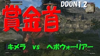 DDON1.2 賞金首キメラ 野良TPで周回 ダウ渓谷lv35キメラ ウォーリアー視点 ドラゴンズドグマオンライン