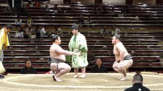 Kotootori (2-0) - Daijo (1-1) , Sumo : Natsubasho '15