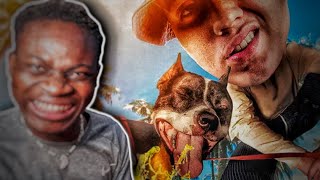 GRINGO REACT 🇺🇸 | WIU - Pitbull 🐶🖕| REACTION!!! 🇧🇷🔥