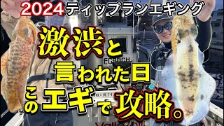 [ティップラン]水潮で激渋と言われたが・・・このエギで攻略！