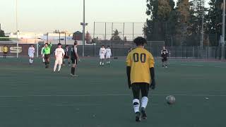 Show 14 Sports: Boys Soccer