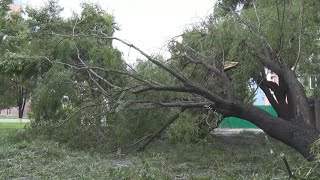 平壌、台風8号で倒木  テレビは異例の終日放送