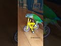 Conure Rides A Bike | Parrot Tricks With Maui