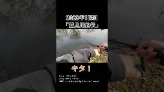 【ブラックバス】鶴見川にてやっと一匹釣れたけど…