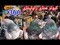 366 | Biggest Kabootar Mandi Rawalpindi | Latest Update High Flying Pigeon Market Price | 3/11/2024