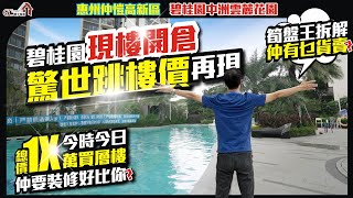 碧桂園現樓開倉 | 驚世跳樓價再現【惠州仲愷現樓 | 碧桂園中洲雲麓花園】總價1x萬買層樓仲要裝修好比你？ | 筍盤王拆解仲有乜貨賣？【寰宇筍盤 | 上市公司附屬機構】惠州樓盤 投資 粵港澳大灣區