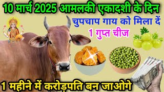 10 मार्च 2025 आमलकी एकादशी के दिन चुपचाप गाय को खिला दें 1 चीज 1 महीने में करोड़पति बन जाओगे।