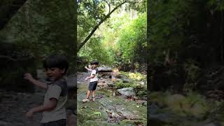 ഒരു പ്രഭാത ട്രക്കിങ്❤️ #900kandi #tentgram #nature #morning #eyachu #kidsvideo