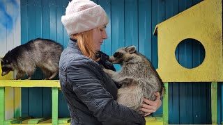 ЖИВУ ОДНА В ДЕРЕВНЕ С ЕНОТАМИ Зима в Сибирской ГЛУШИ 11февраля