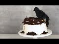 Raven’s-Nest Cake- Sweet Talk with Lindsay Strand