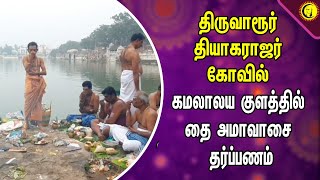 திருவாரூர் தியாகராஜர் கோவில் |  கமலாலய குளத்தில் தை அமாவாசை தர்ப்பணம் | Thiruvarur Thyagaraja Temple