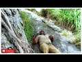 mountain trekking vlog periyamalai krishnagiri