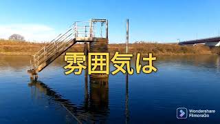 朝からと午後から今日も御幸橋パトロール😆宇治川ブラックバス釣り！