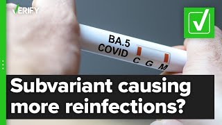 Yes, BA.5 is more likely to reinfect people with COVID-19