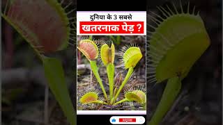 Top 10 Most Dangerous Plants in the World|दुनिया के 10 सबसे ज़हरीले पौधे|World's most dangerous plant
