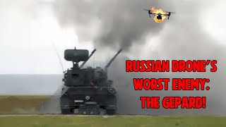 Russian Drone's Worst Enemy: The Gepard