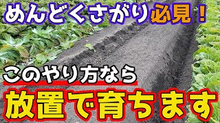 【じゃがいも】植え付け前に！大きいじゃがいもを土寄せなしで作る裏技栽培方法を紹介します。【家庭菜園】