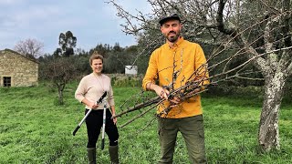 A Simple Life Renovating Our Beautiful Country Homestead