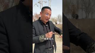 两块料子都是产自玛丽艳，两块料子的底色都是非常亮气，打灯无结构 #宝石 #弘扬正能量 #玉 #和田玉 #感情 #jadeite #jade #和田玉原石